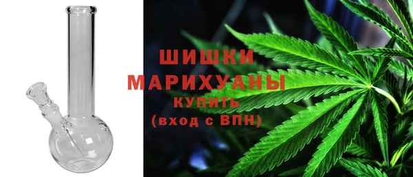 ПСИЛОЦИБИНОВЫЕ ГРИБЫ Арсеньев