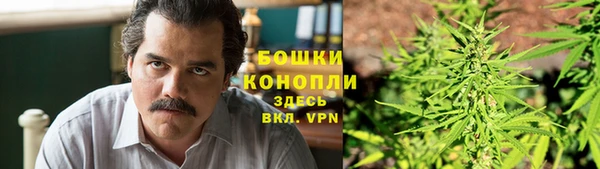 ПСИЛОЦИБИНОВЫЕ ГРИБЫ Арсеньев
