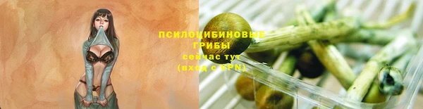 соль ск Армянск
