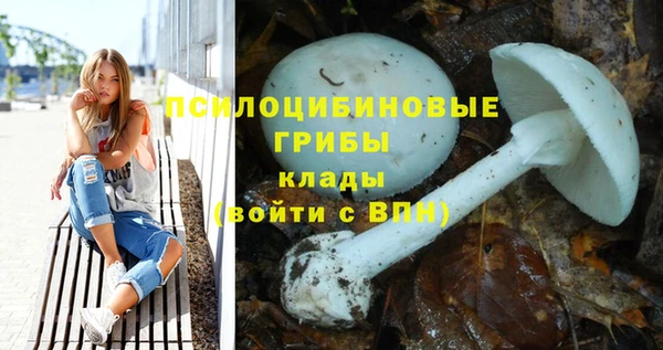 каннабис Аркадак