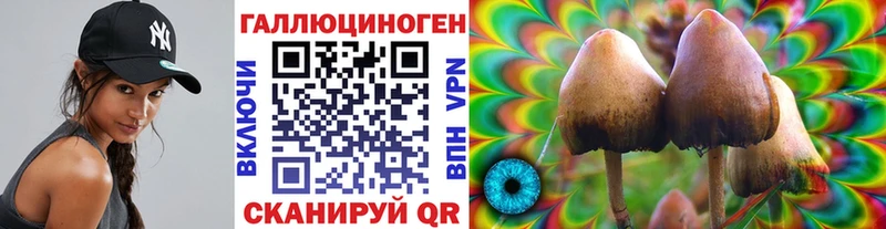 даркнет сайт  Нолинск  ОМГ ОМГ как зайти  Псилоцибиновые грибы мухоморы 